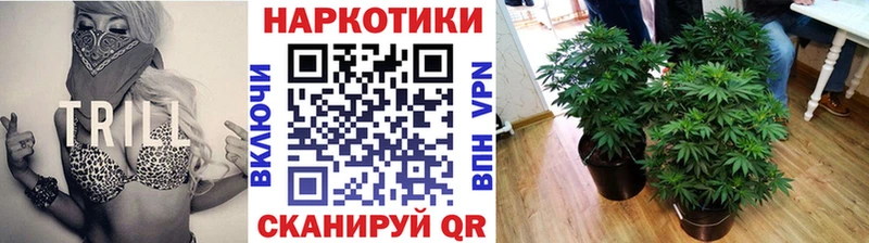 LSD-25 Железногорск