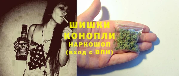 гашик Коряжма
