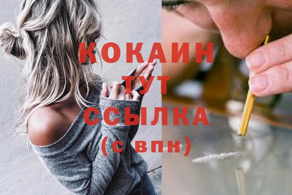 гашик Коряжма