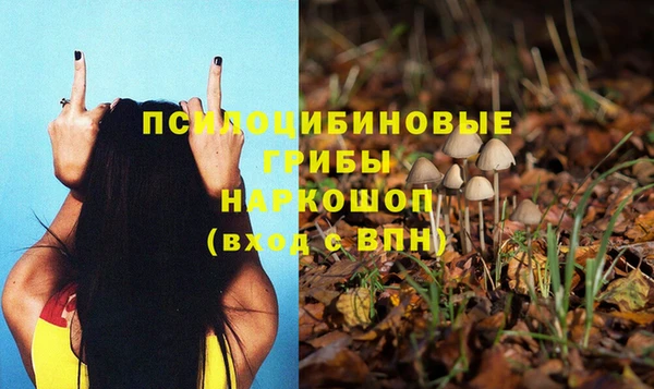 СК Корсаков