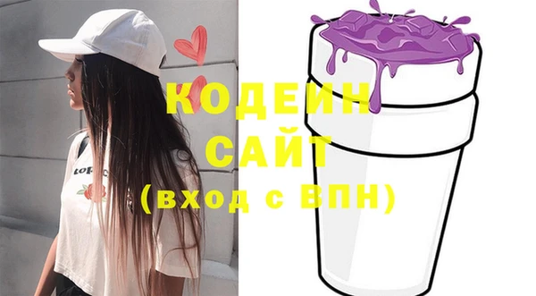 гашик Коряжма