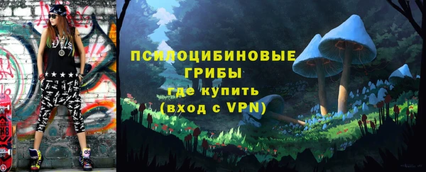 СК Корсаков