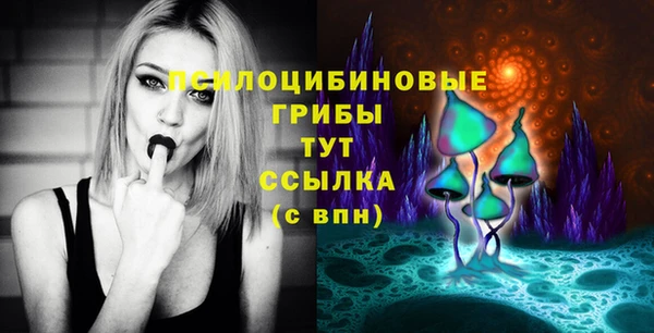 гашик Коряжма