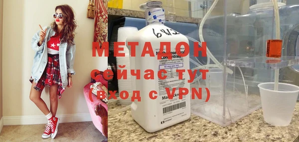 сатива Новозыбков