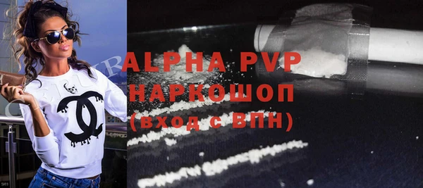 гашик Коряжма
