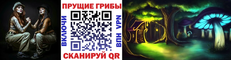 наркошоп  Железногорск  Галлюциногенные грибы Psilocybine cubensis 