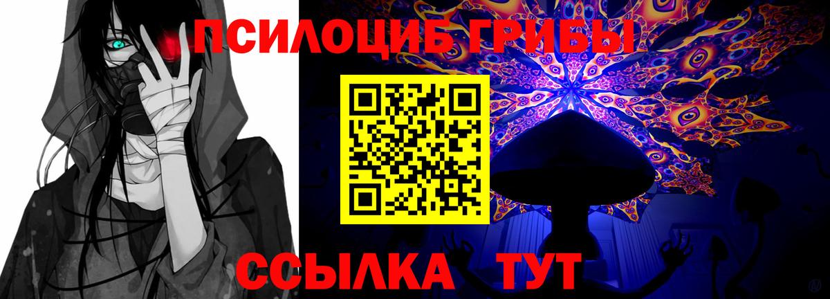 Галлюциногенные грибы мухоморы Железногорск