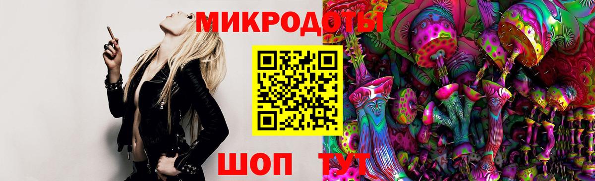 Галлюциногенные грибы Psilocybe  Железногорск  Галлюциногенные грибы GOLDEN TEACHER 