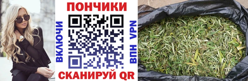 где купить наркоту  Железногорск  Канабис White Widow 